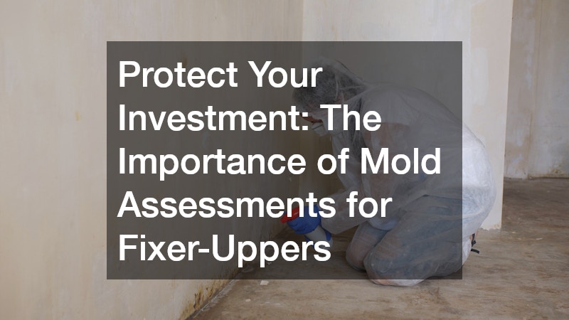 Protect Your Investment  The Importance of Mold Assessments for Fixer-Uppers